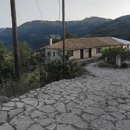 Kontrata